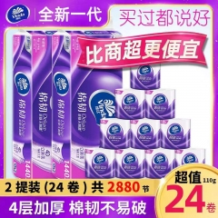 维达卷纸卫生纸家用实惠装立体美有芯大卷筒纸棉韧厕所纸手纸(2提）
