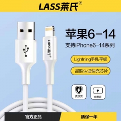 莱氏2.4ALightning数据线2条装