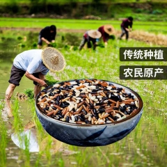 三色糙米杂粮当季新米组合健身低脂主食打豆浆煮粥饭团三色米