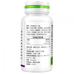 汤臣倍健铁叶酸片（60片）