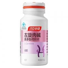 汤臣倍健左旋肉碱茶多酚荷叶片(40片)*2